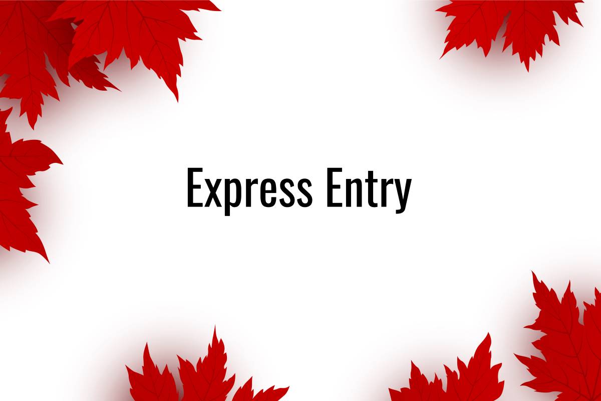 Express Entry/CEC/FSW - One Time - PR Application Review
